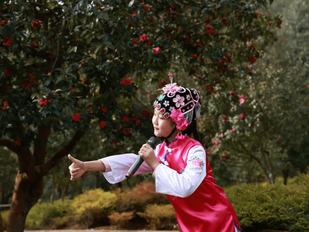 花朵|腾冲来凤茶花园里春色满园