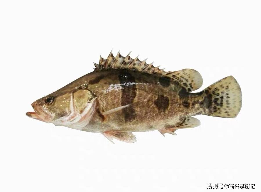 早春,5种淡水鱼的做法,应季而食营养足!