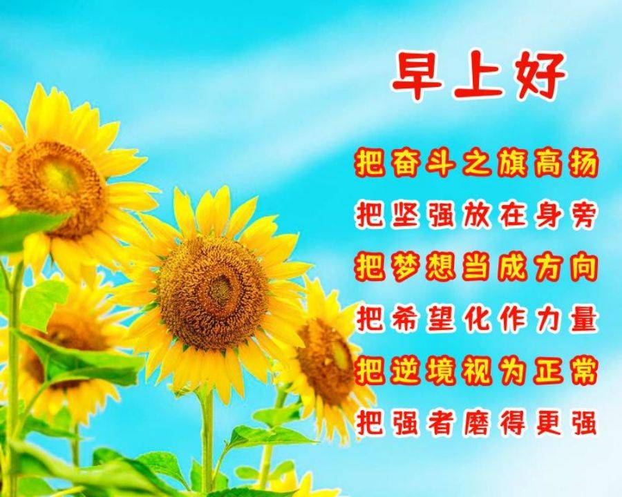 清晨暖心问候语朋友们早上好