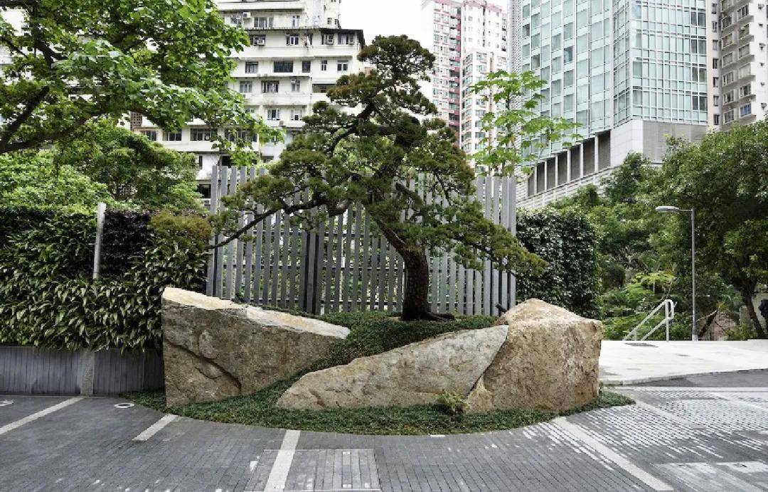 直呼过瘾枡野俊明53个作品一次看个够