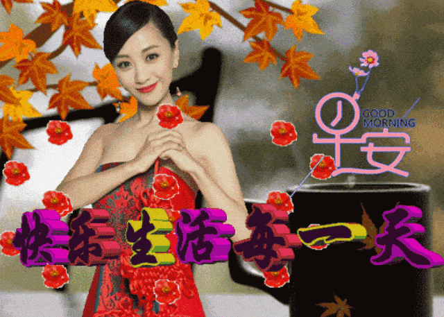 原创周二最新漂亮晚上好动态美图鲜花带字早晨好幸福暖心的问候表情