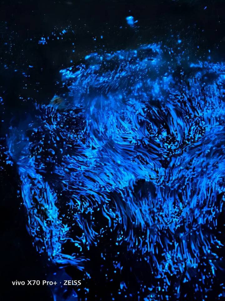 用手机记录下湛蓝银河海vivox70pro秀出强劲夜摄能力