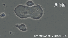 c28a46aaa1b54b749ed195d309d0714f.gif