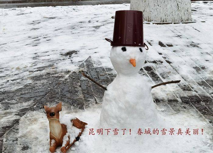 日子|昆明下雪了！春城的雪景真美丽！