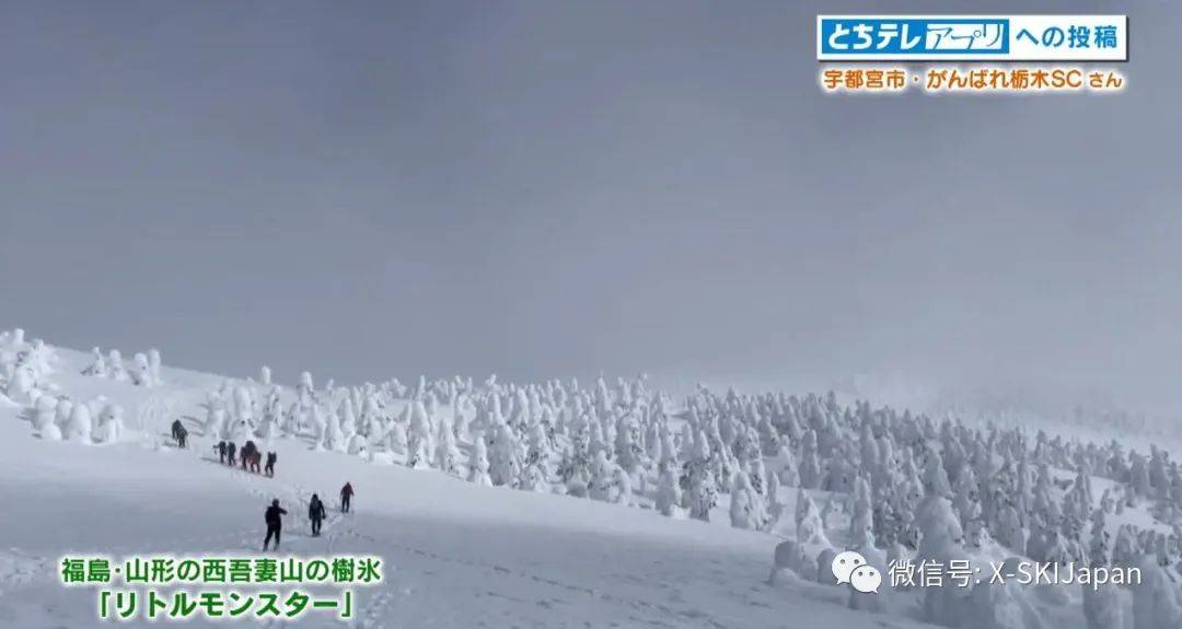 日本暴雪致滑雪圈事故多发!谈球吧体育 多名雪友丧命滑雪途中(图7)