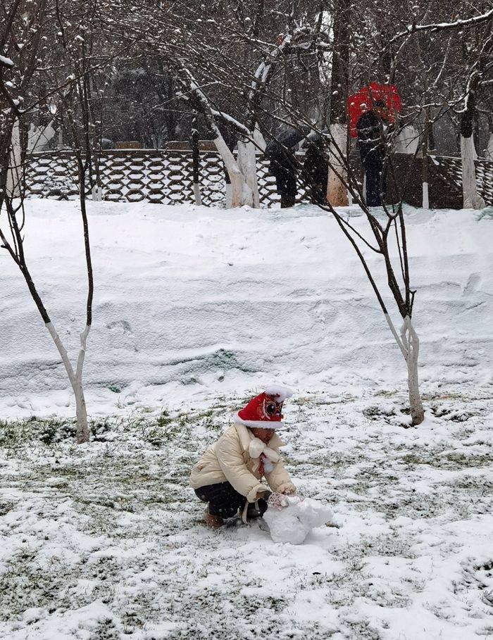 日子|昆明下雪了！春城的雪景真美丽！