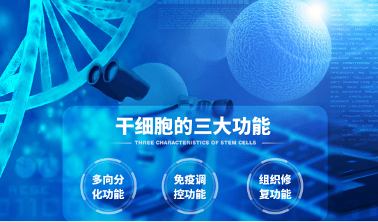 面部打干细胞能使人年轻吗？打干细胞后多长时间见效？懵了