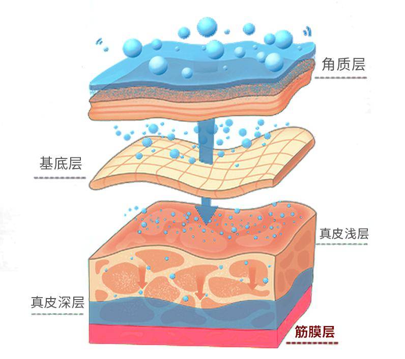 什么拉皮除皱·“面积”篇——大拉皮和小拉皮的面积之分到底分的是什么？