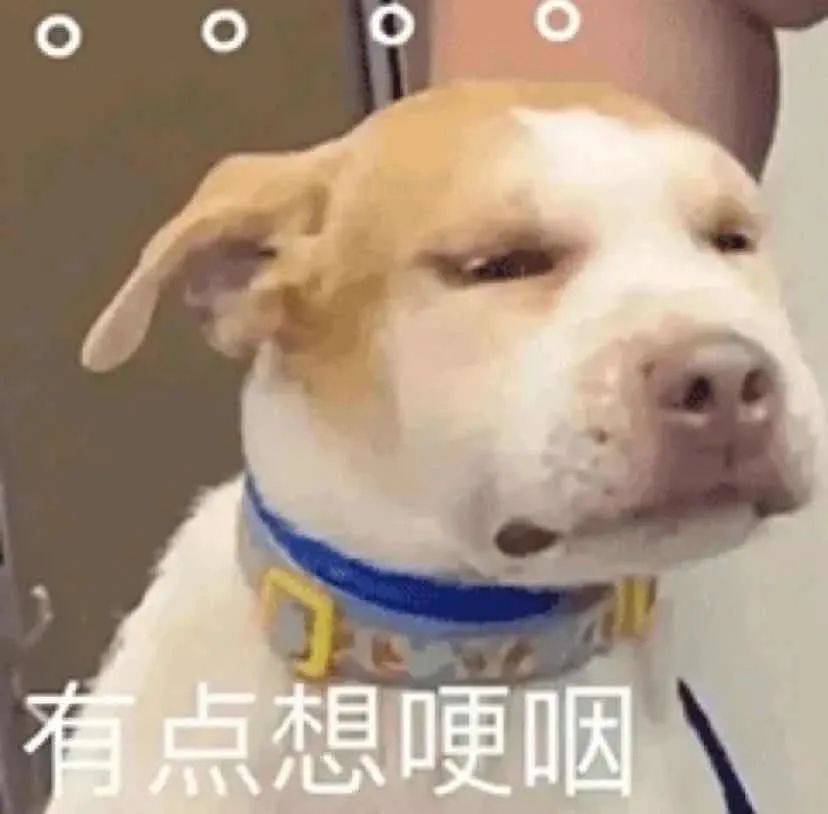毛周她鼻背两旁的小疙瘩，到底是啥？