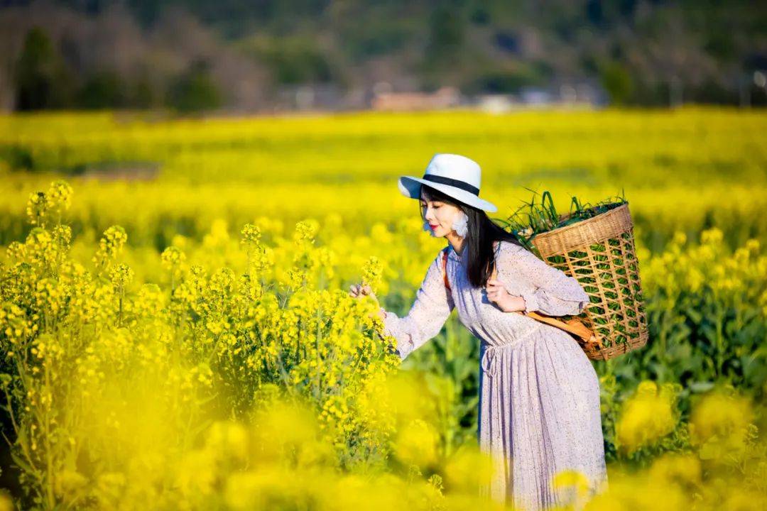 季节|传统村落丨你知道最近这个季节，腾冲哪个传统古村落最适合游玩吗