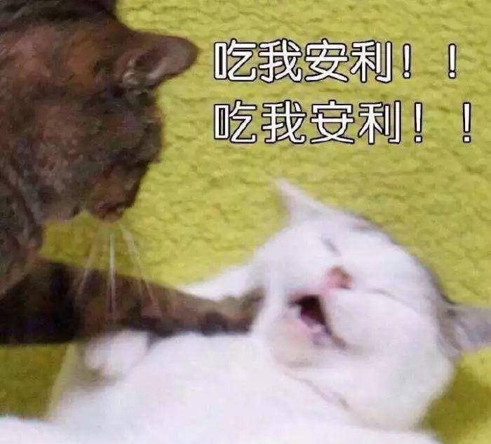 李栋旭|生活 综艺指南！这7部好看到舍不得快进！