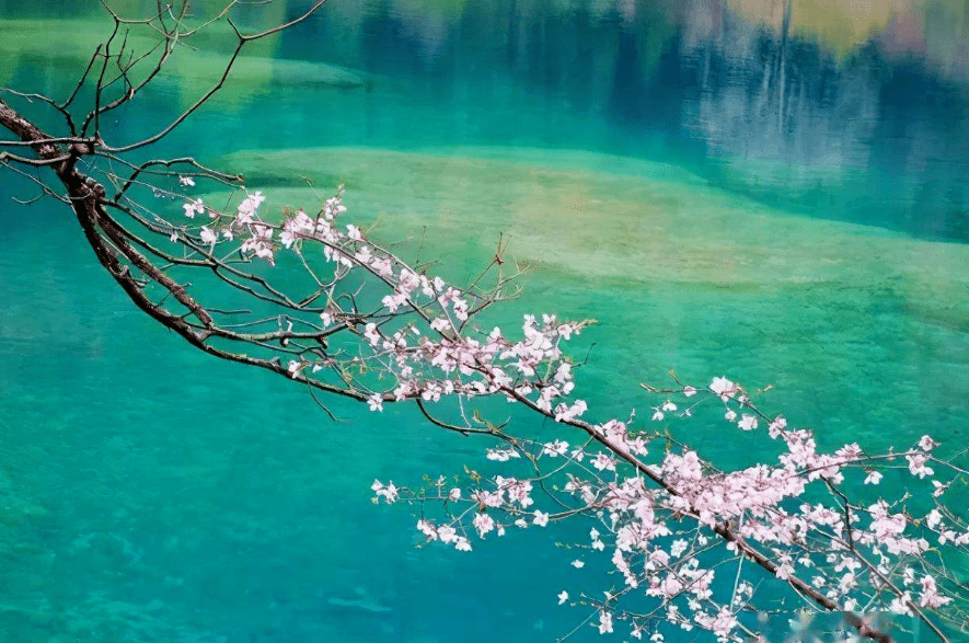 诗词鉴赏春水初生你可知道诗词里的春水有多美