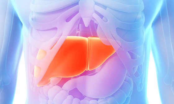 肝脏|肝脏是沉默的器官, 但是皮肤会告诉我们, 你的肝健康不健康!