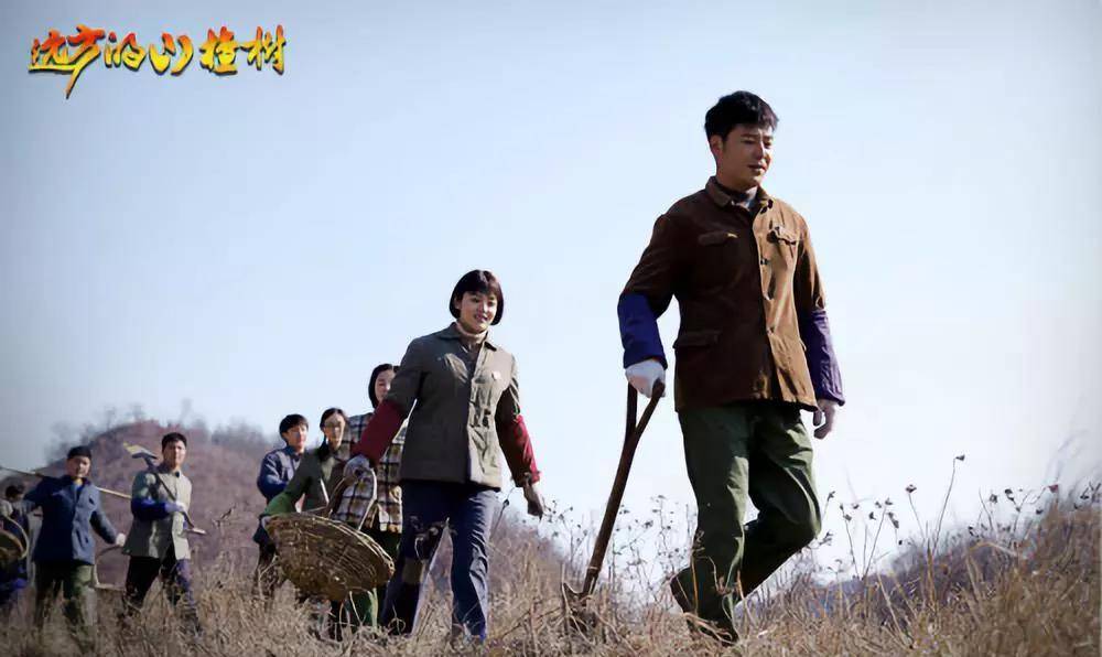 知青题材电视剧排行榜_知青电视剧(六十年代知青题材电视剧)(2)