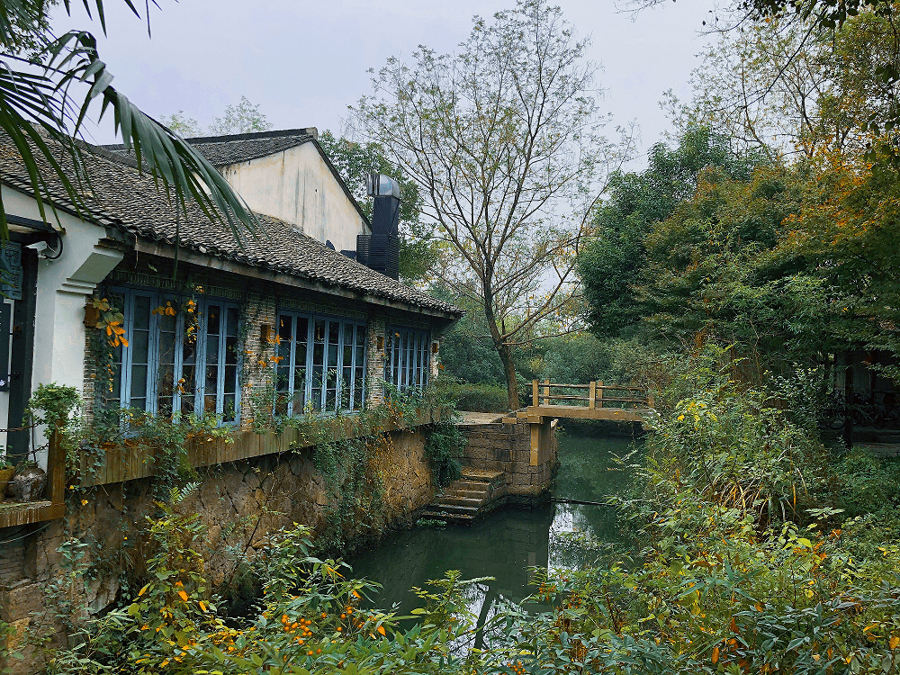 西溪湿地_烟水_保护