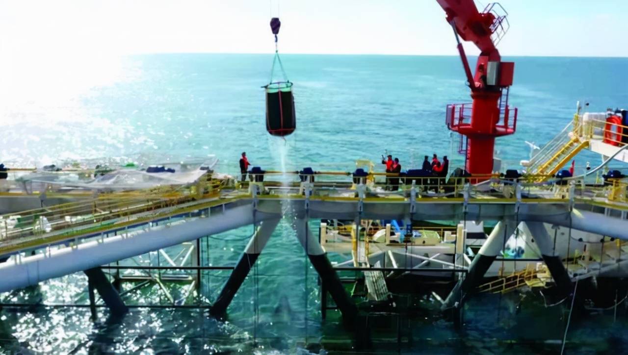 原创中国建亚洲最大深海鱼塘一次养鱼上千吨首次捕捞大丰收