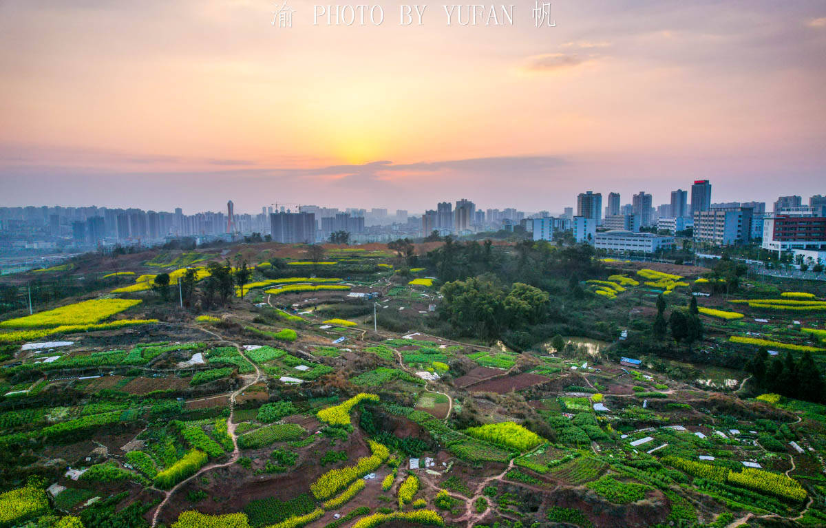 夕阳|重庆有座被菜花装扮的小城，不出城便能看到美景，窗外遍地流金