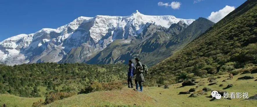 生活|教书育人触碰未来——《教室里的一头牦牛》