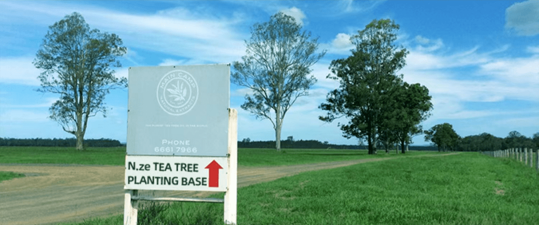 洗头花几千块做头皮清洁,到底是不是智商税?