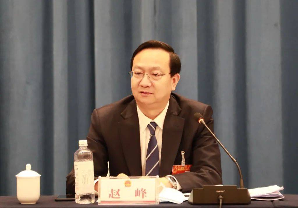 驻马店市委副书记市长李跃勇参加平舆县代表团讨论