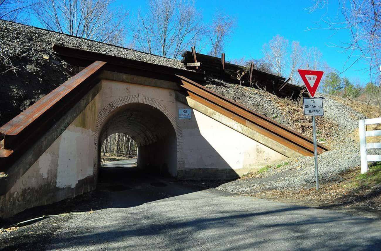 美国恐怖兔人真的存在吗揭开北弗吉尼亚最可怕的都市传说