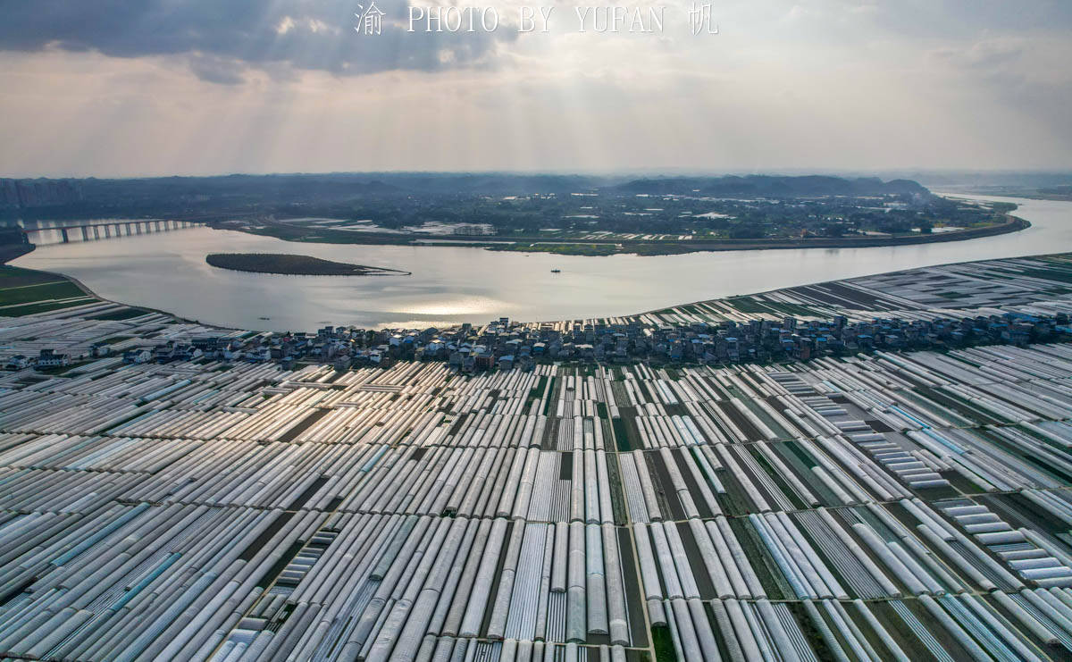 潼南|重庆6000亩的九龙山公园，可瞰中国第二大运河与重庆最大蔬菜基地