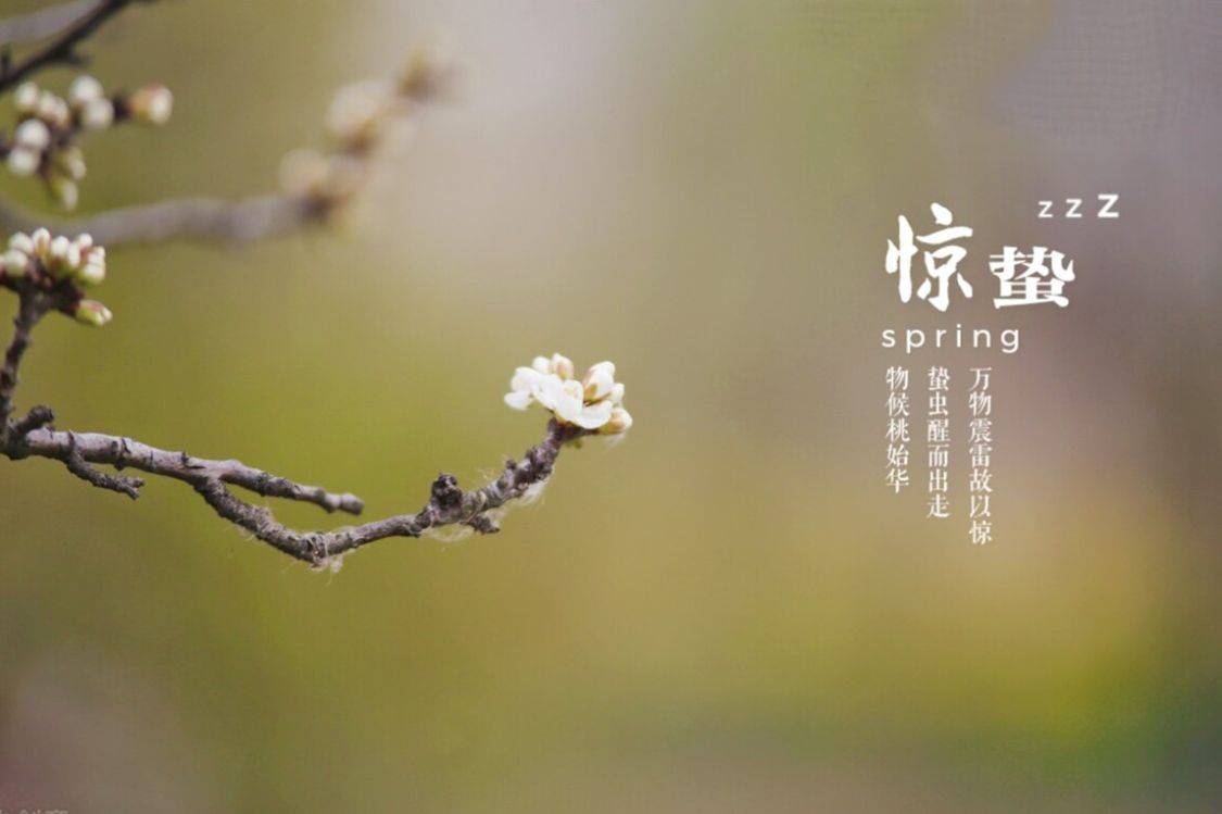 明日惊蛰 牢记 吃3菜 食3果 捂3处 安稳度过 倒春寒 时节 仲春 菠菜