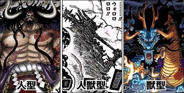 六边形|海贼王1042话：凯多是完美的六边形战士，全方位无死角，真单挑王