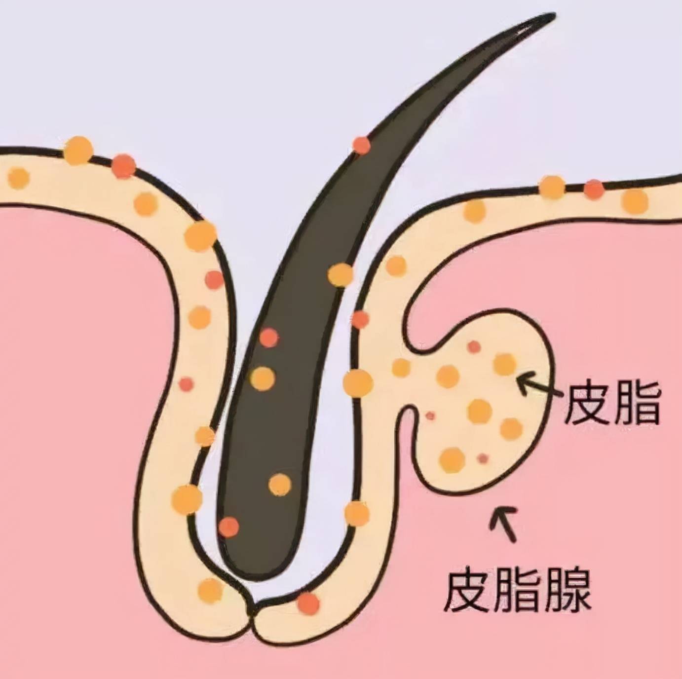 平台一夜之间风靡全平台的“白开水妆容”,有多白?