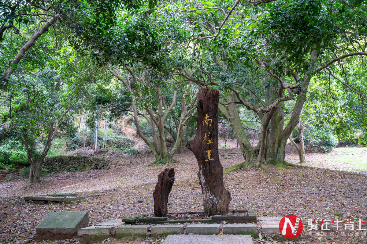 景区|杭州周边游好去处，绍兴小众游，抛掉城市的嘈杂体味深山的静谧