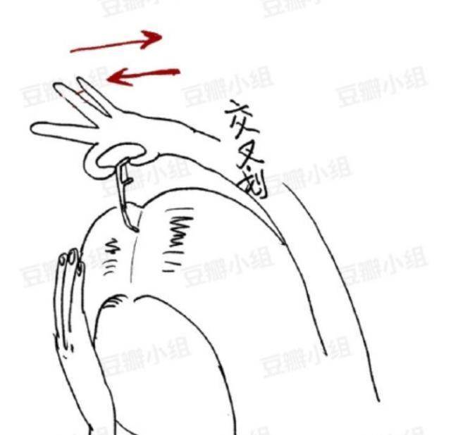 中分网友找到鞠婧祎头发没缝的方法，没植发没垫发片，大家误会她了！