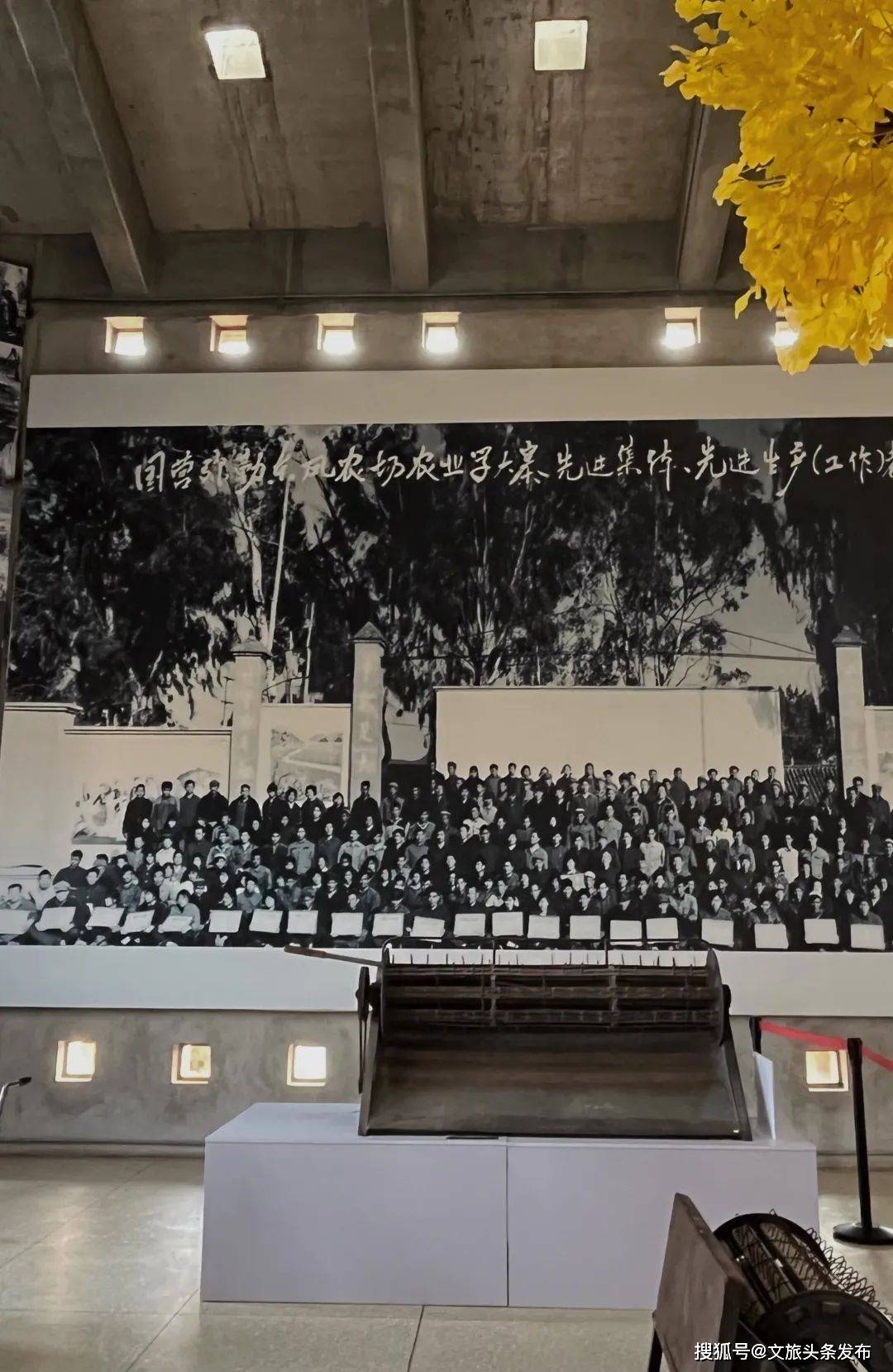 欣赏艺术家罗旭名作《千人合唱团》这是一场艺术与文化的熏陶之旅女神