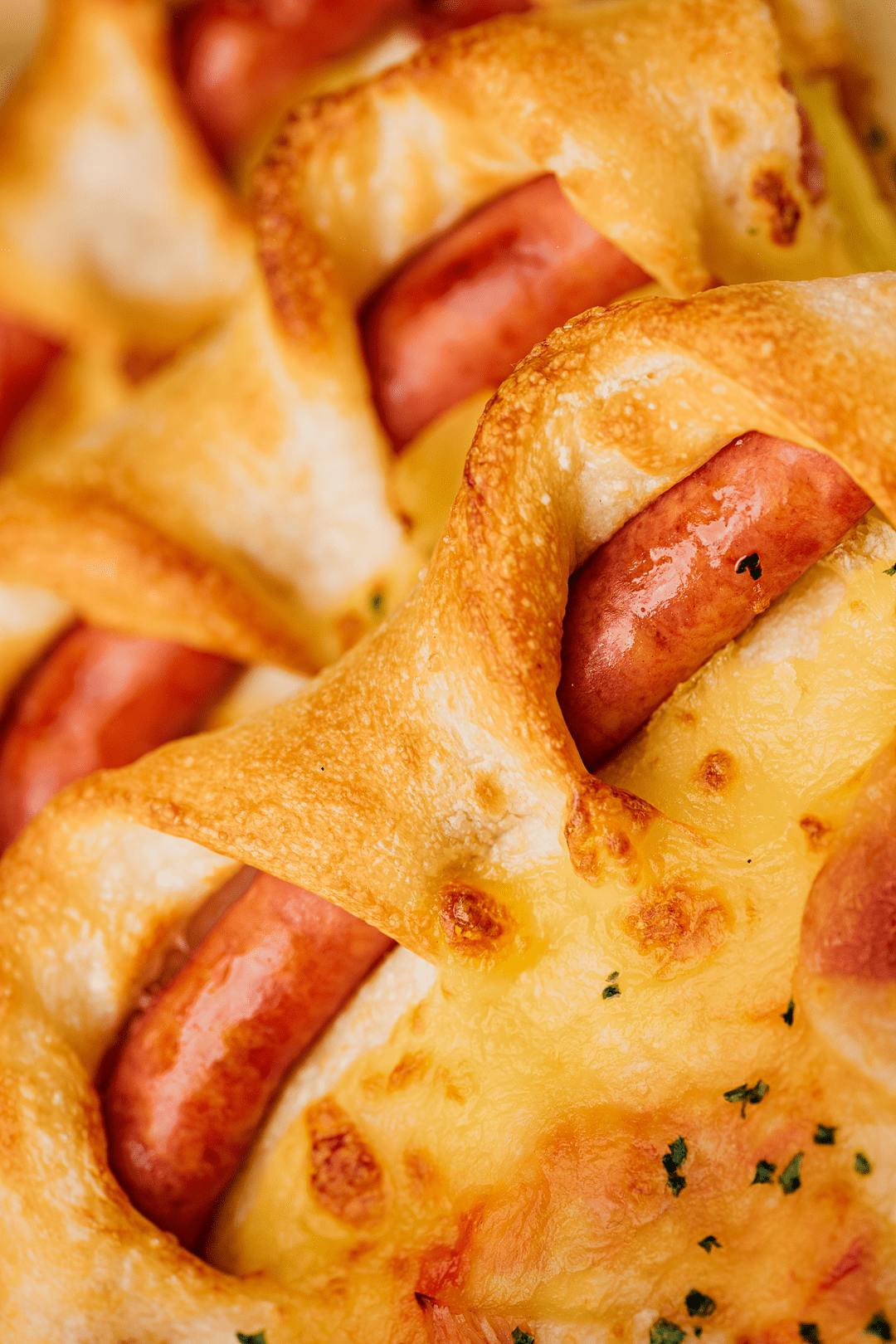 披萨_口味_榴莲