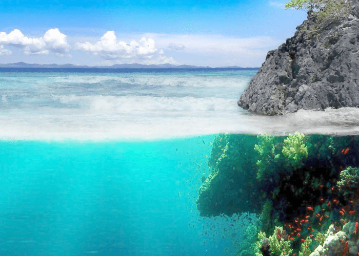 品位 这三件事做的好不好决定着你在职场上升的快不快