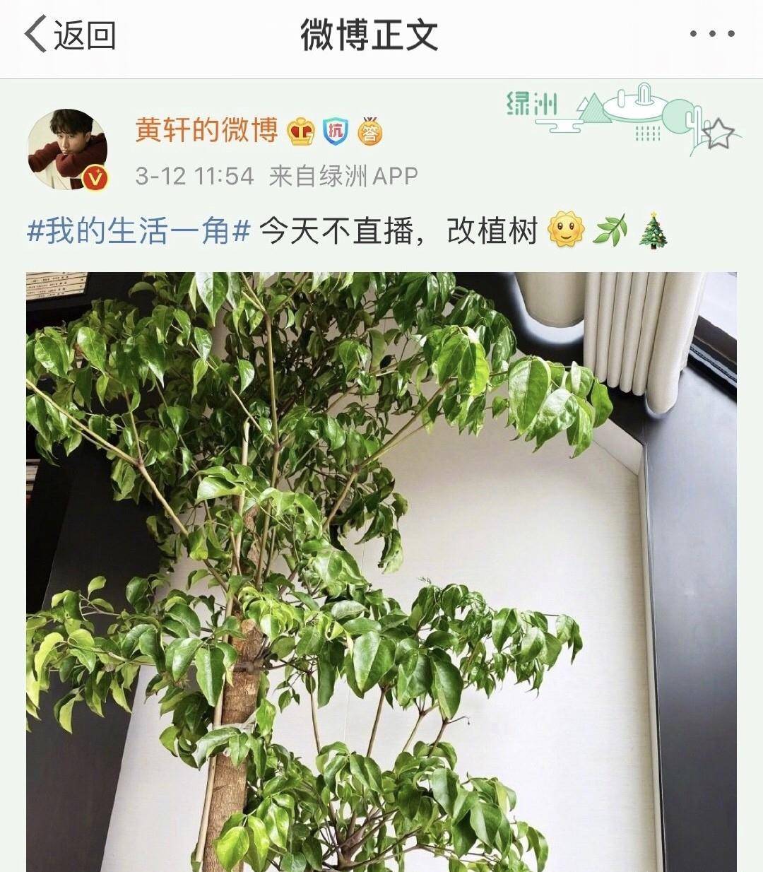 原生家庭|35岁黄轩不渴望婚姻，他和父母的关系令网友感慨：就是卫哲本人