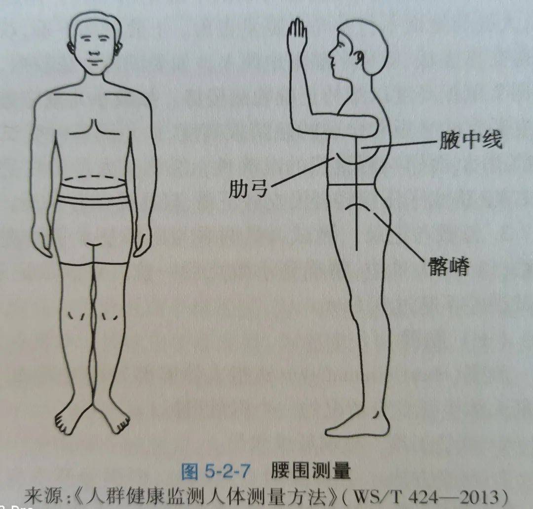 体重|1200千卡的CRD减肥食谱来啦！都是家常菜，厨房小白也会做！照着吃就能瘦！