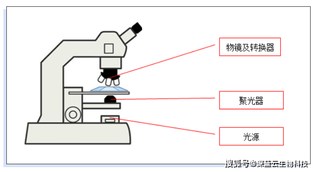 首先通過一個簡圖來看一下今天要講的部分內容