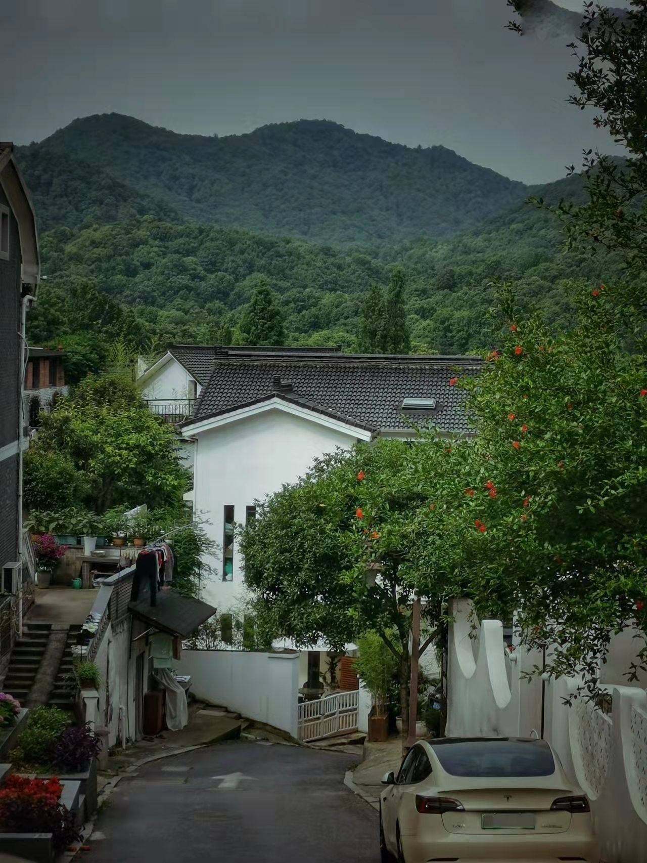 杭州满觉陇拍照宝藏景点机位攻略