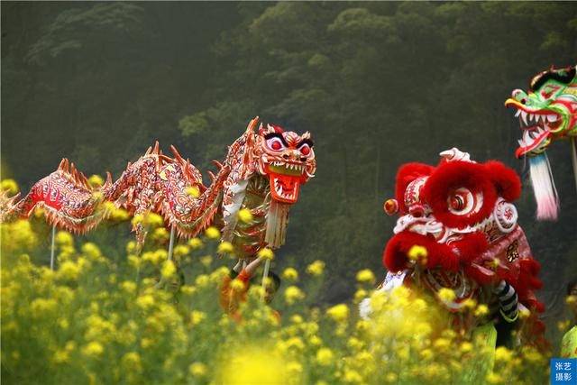 油菜花|阳春三月，广东石门油菜花田乡村美，春天赏花拍照踏青好去处