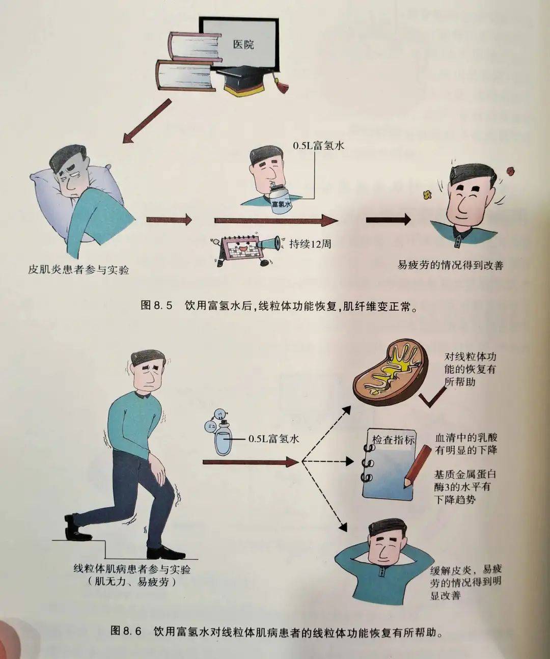 功能|科普连载8.3 骨骼肌损伤与功能恢复之氢气人群试验