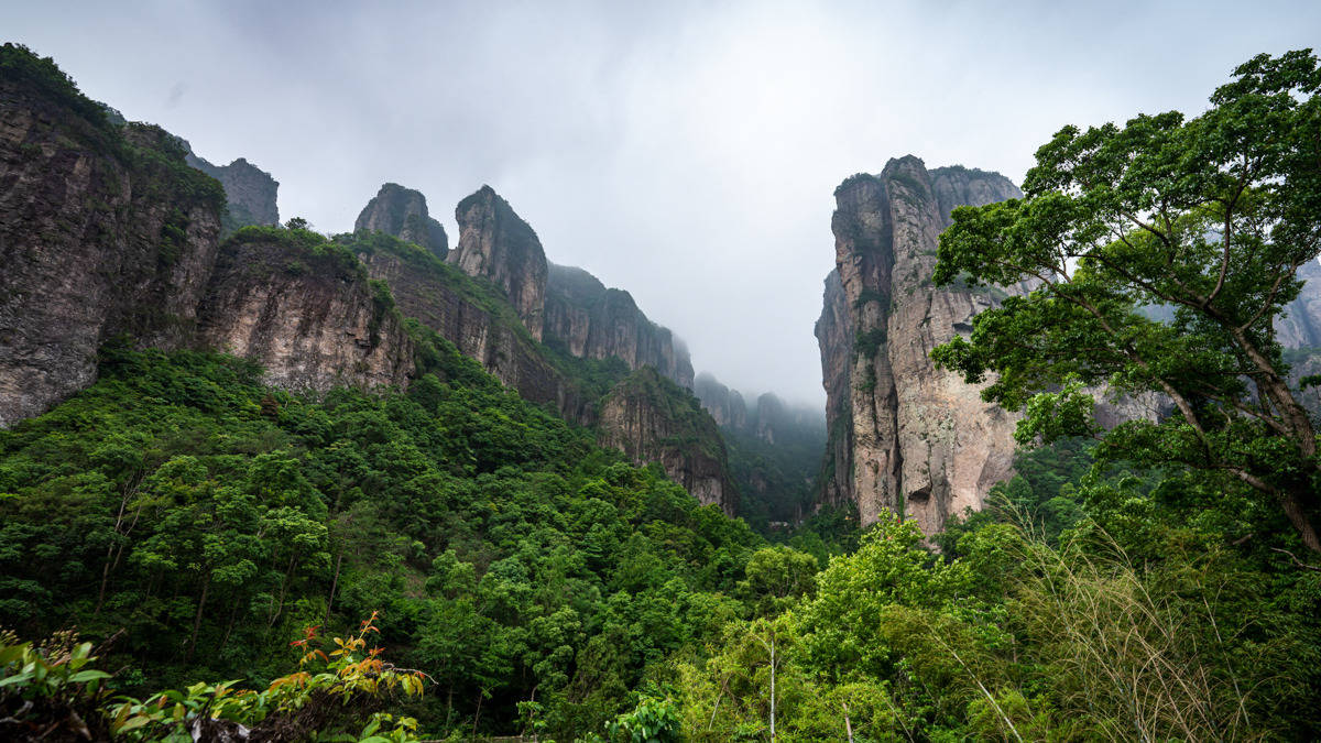 盛于宋|火到外国的《神雕侠侣》中绝情谷的取景地，就在温州首个5A景区内