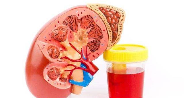 症状|尿毒症是“拖出来”的吗?提醒:身上2处发臭,可能是肾脏在呼救