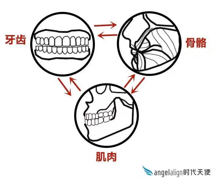 牙龈关晓彤是不是do脸了？凹脸变得幼态又平整！