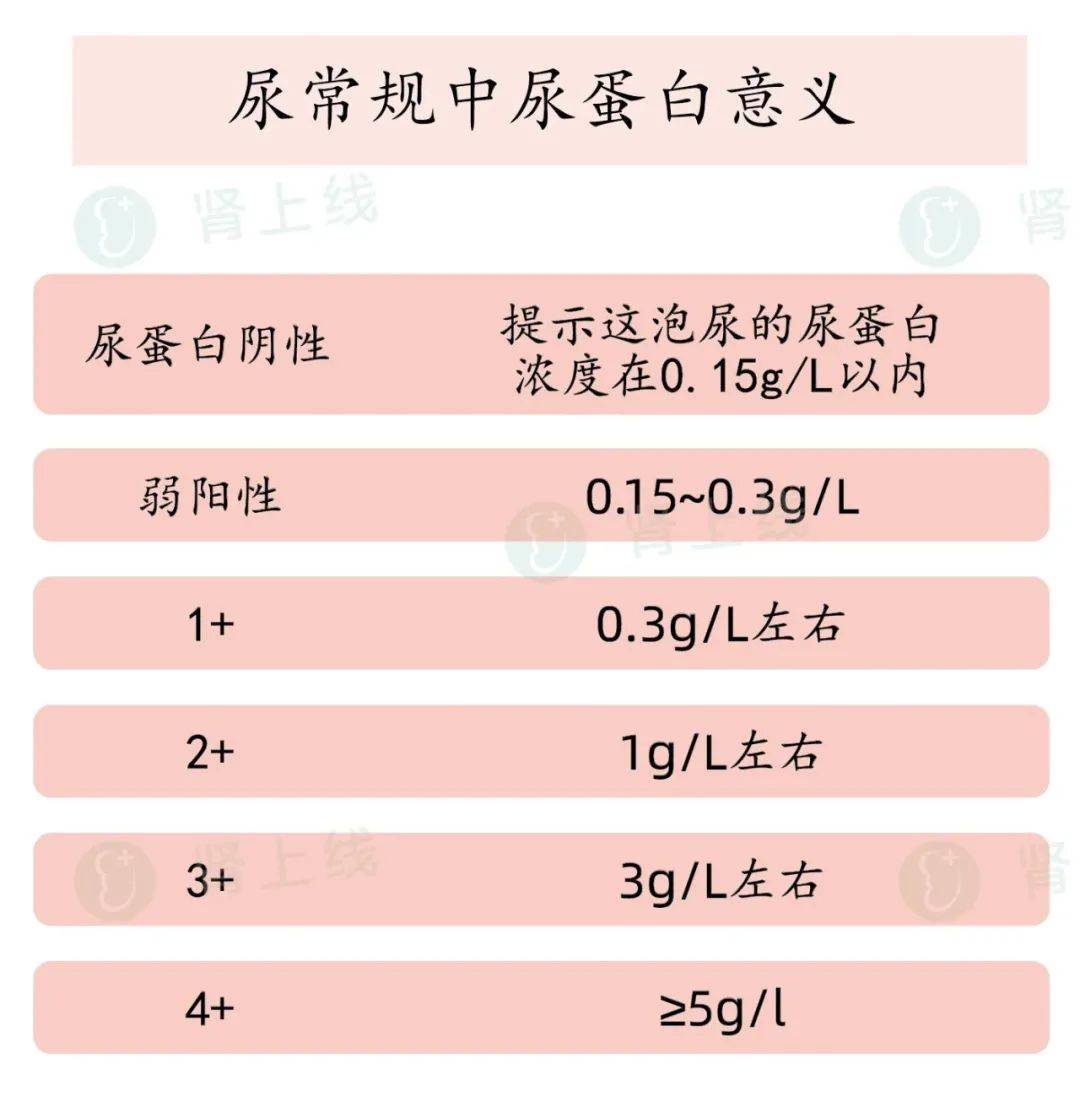 蛋白尿|尿常规，人人体检都能用得上的50条小常识，值得收藏！