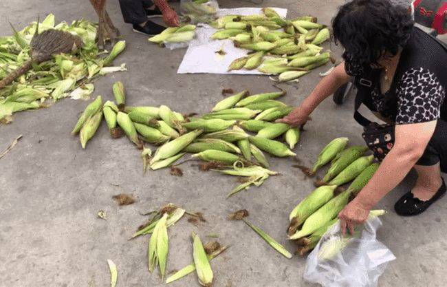 因为|去菜市场买菜,这6种蔬菜不要随便买,菜贩子:从不给家人吃