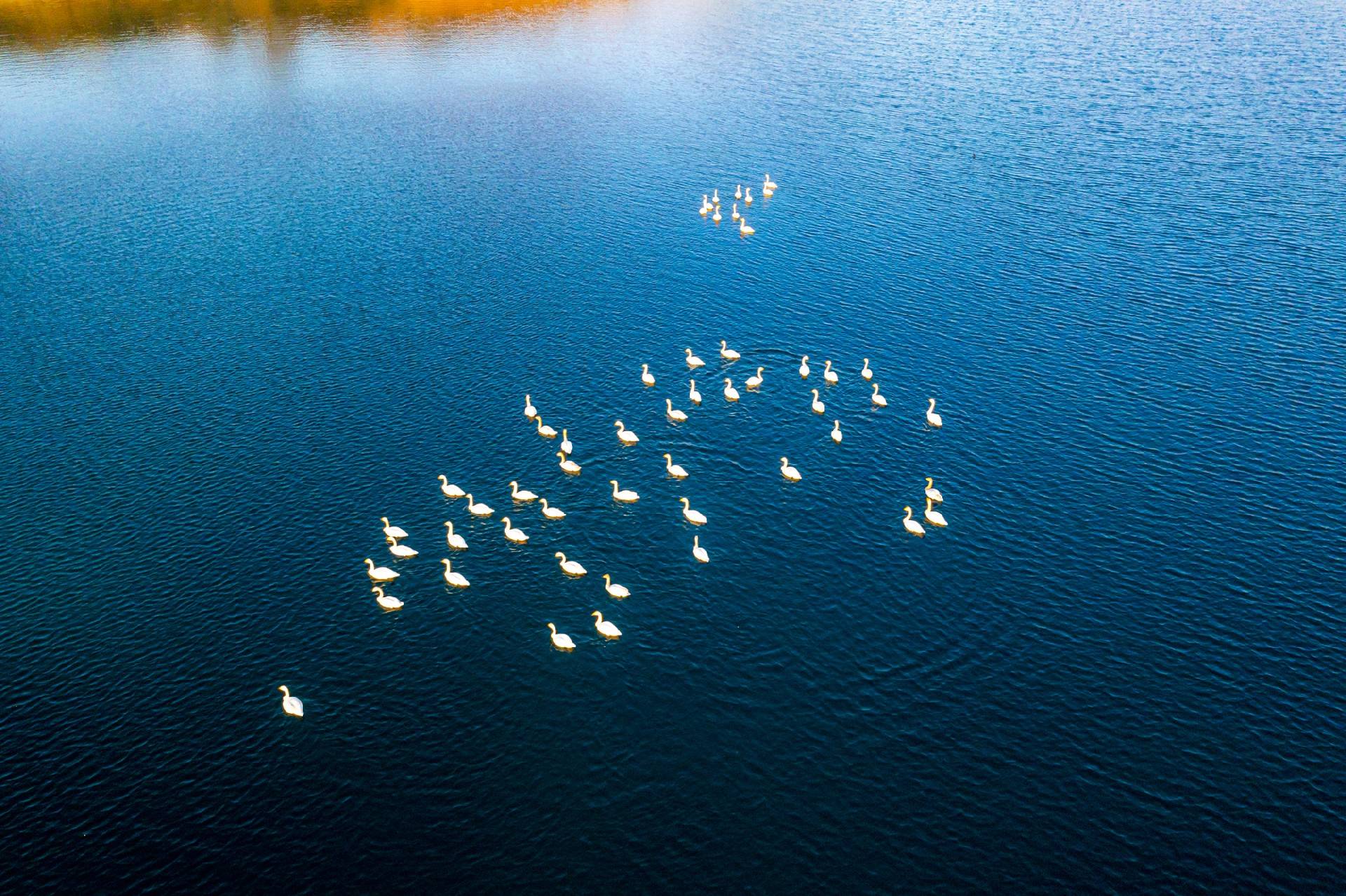 阳泉市平定县凌波仙子气度非凡