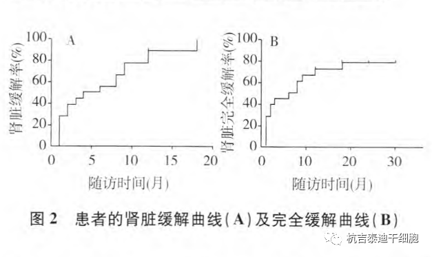 肾脏|世界肾脏日丨盘点，干细胞治疗4类肾脏疾病临床研究进展及案例