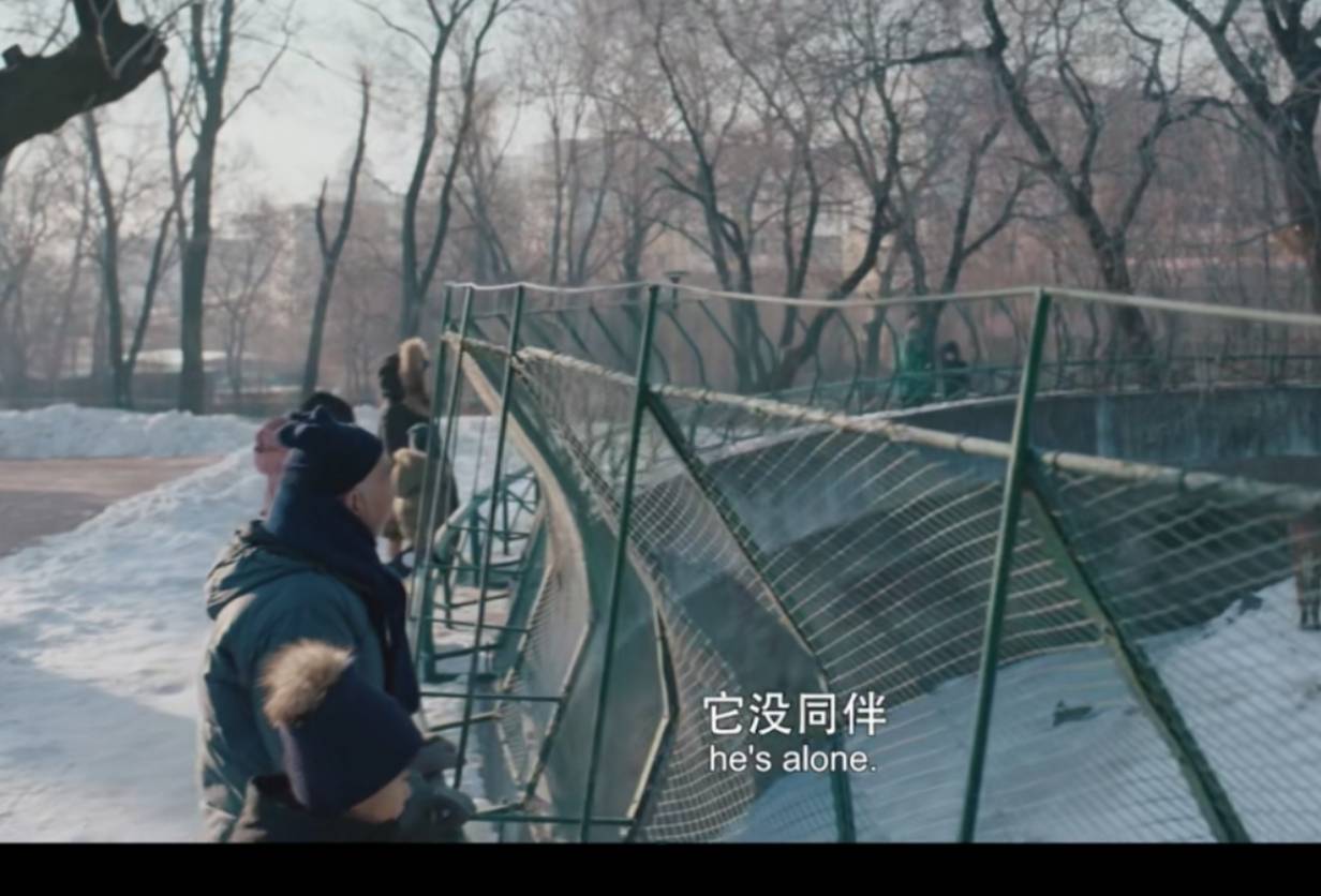 亲戚|从《我不是药神》里“黄毛”，到《东北虎》的渣男徐东，章宇到底经历了什么？