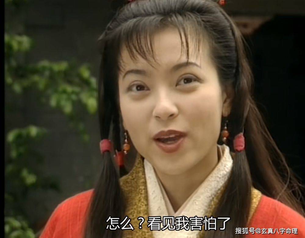 她是杨过的新老婆,为杨过生下四个威震武林的儿子_郭芙_郭靖_耶律齐