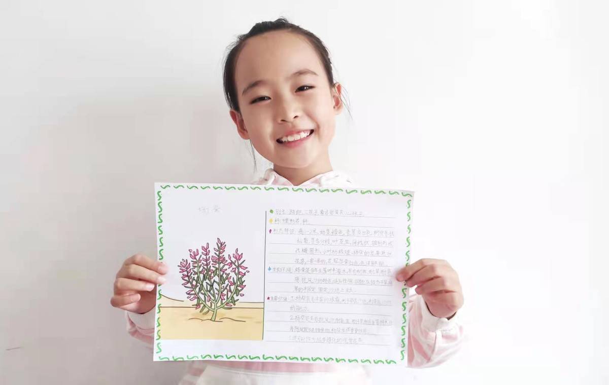 快乐植树节 小手添新绿—濮阳市第二实验小学居家"抗疫"二年级植树节